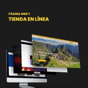 Basic Store Solution anual