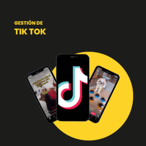Gestión de Tik Tok | TikTok Easy 12 anual